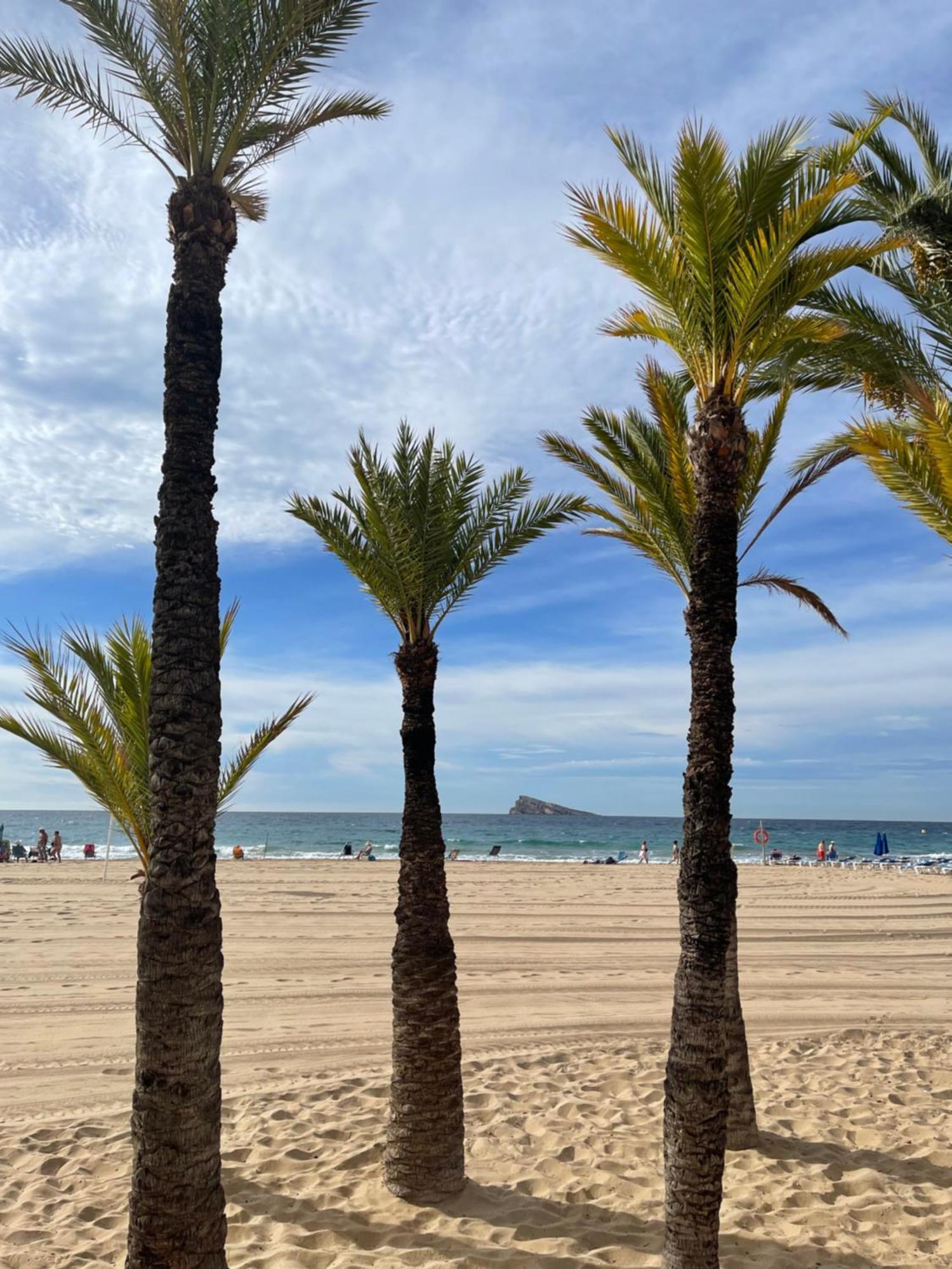 Marinapartsol 5A Apartment Benidorm Ngoại thất bức ảnh